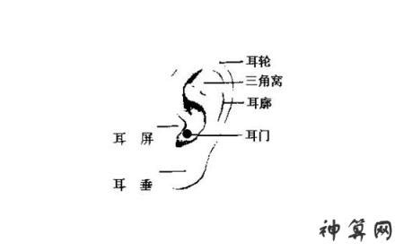 男右耳有痣